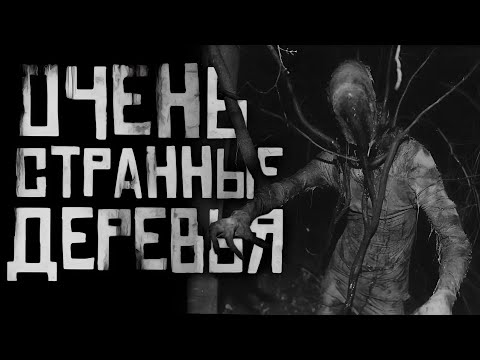 ОЧЕНЬ СТРАННЫЕ ДЕРЕВЬЯ... Страшные истории на ночь. Страшилки на ночь.