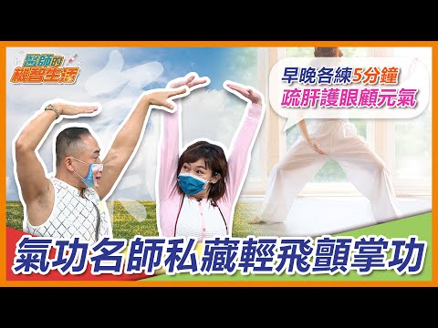 氣功名師私藏精選功法 排毒養正氣！ 早晨練 輕飛顫掌功 醒腦強心助排便！ 睡前練 疏肝護眼功 順氣開竅助安眠 【 醫師的機智生活 EP9】 鄭凱云 feat. 彥寬老師