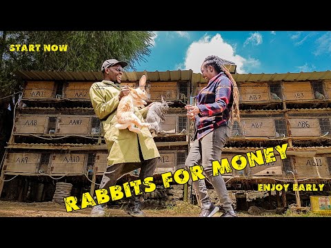 RABBITS FOR MONEY| SMALL SPACE  WITH GREAT RETURNS | FARM TOUR| URBAN FARMING