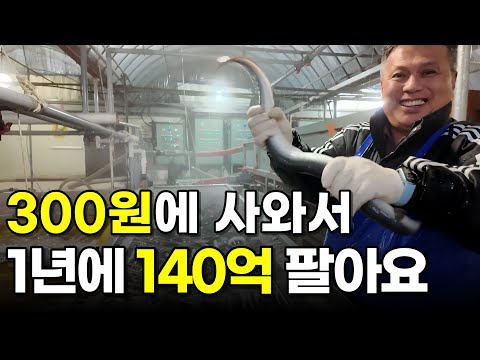 300원에 사서 일년 매출이 140억버는 장어양식장 관리하는 남자