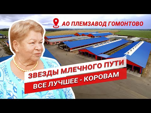 From Bankruptcy to Prosperity | Nadezhda Pozdnyakova | Gomontovo Breeding Farm | Stars of the Mil...