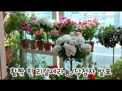 당첨 되신분 축하드립니다~💕❤️❤️