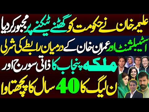 Aleema Khan makes Imran Khan's solitary confinement an international issue || Alina Shigri || Adeel 