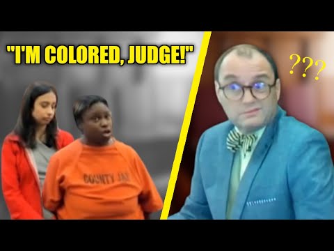 Judge STUNNED By Woman's Insane Excuse to Justify a Hit-and-Run!