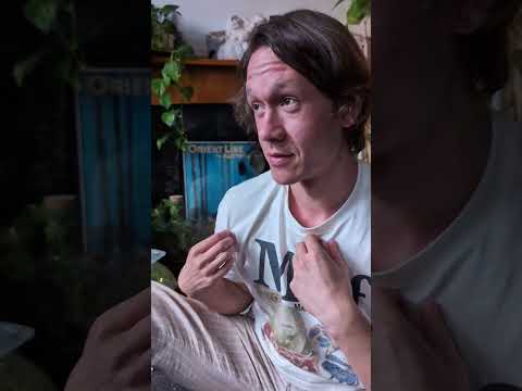 Bioactive crested gecko vivarium