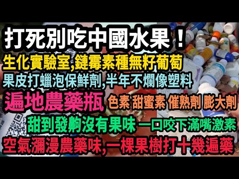打死都別吃中國水果！色素 甜蜜劑 催熟劑 膨大劑 保鮮劑齊上陣，半年不爛像塑料，一口咬下滿嘴激素，東大生化實驗室，鏈霉素種無籽葡萄，遍地農藥瓶，一顆果樹打十幾遍農藥，空氣瀰漫農藥味，#中國