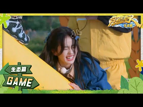 太难了！白鹿在跷跷板卡住了？周深和沙溢极限拉扯 范丞丞主打一个躺赢 游戏纯享 | 奔跑吧生态篇 EP1 20231118