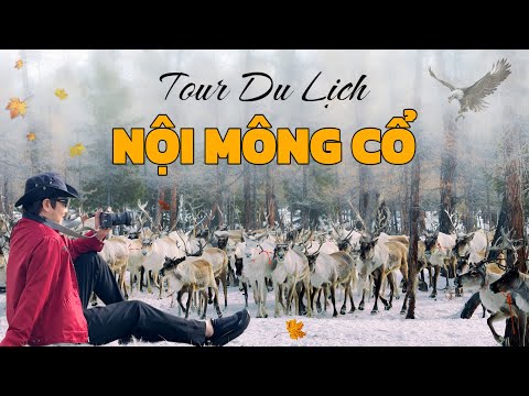 INNER MONGOLIA Travel 2025, Reindeer Herding Tribe and Beautiful Scenery of the RUSSIA - CHINA Bo...