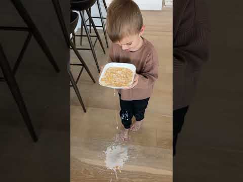 Mess? No Stress! Moprobo to the Rescue—Pick Up & Move On! 🚀