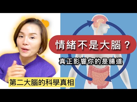 情緒不是大腦決定的？真正影響你的是腸道｜第二大腦的科學真相