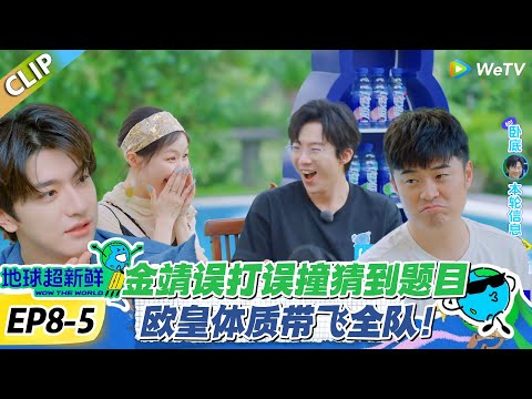 【地球超新鲜】EP8-5：金靖误打误撞猜到题目！欧皇体质带飞全队！#地球超新鲜 #孙红雷 #李乃文 #陈赫 #刘宇宁 #龚俊 #陈星旭 #王玉雯