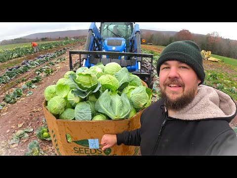 We are done being vegetable farmers