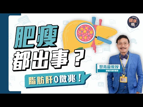 脂肪肝易變癌  飲食次序影響吸收？｜1類人易中招 自測有法｜國際肝臟權威黎青龍自揭肝臟秘密｜健康嗎@HealthCodeHK【Chat醫D】#內臟脂肪 #脂肪肝