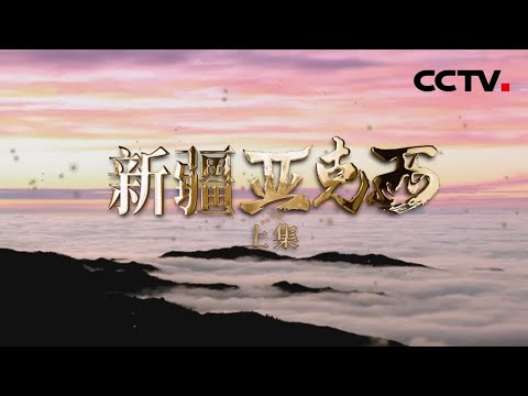 超美！今天的新疆以独特的魅力诠释着“诗与远方” | CCTV「新疆 亚克西」