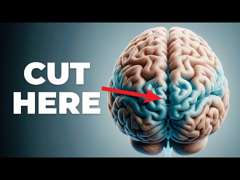 The Unsettling Truth Linking Human and AI