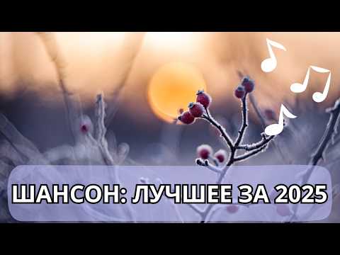 Лучший шансон за 2025 год, песни о жизни, для души и от души