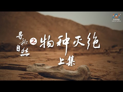 那令人胆寒的灭绝真相（恐龙都能被灭绝），和令人困惑的幸存者（还有爬行动物幸存于难）。寻秘自然04：物种灭绝（上）