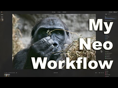My BEST Luminar Neo WORKFLOW