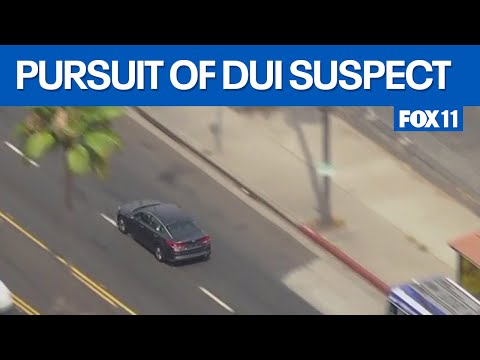 Pursuit suspect in East LA goes rouge
