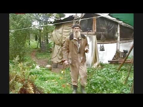 man lives alone in a forest for 26 years in a small cabin. grow and makes  food