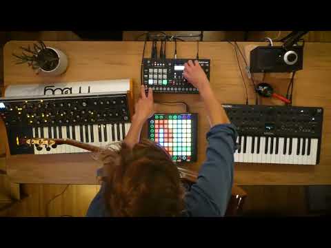 Live Organic Downtempo Session #shorts