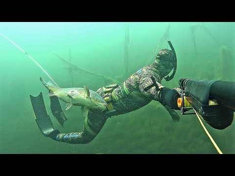 Бездна. Нырок За Трофеем. Подводная Охота в Башкирии