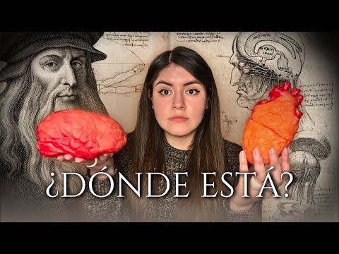 Dónde está EL ALMA? La búsqueda de Leonardo Da Vinci 🔍