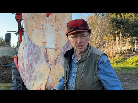 Hoof to Steak || Skin and Eat Alaska Beef || Otto Kilcher