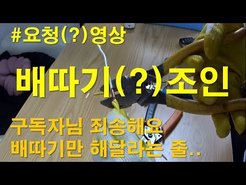 [ 전공기 ] 전기공사/요청(?)영상/배따기 결선법!