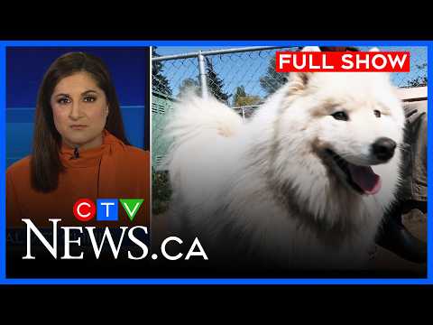 New 24 hour vet hospital in Comox Valley | CTV News Vancouver Island | April 23, 2026