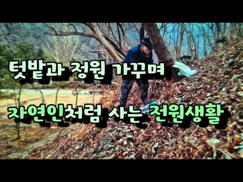 다시태어나도 전원에서~/ 귀촌버킷리스트 : 송이버섯과 고로쇠 수액 채취, 표고버섯 재배하기 / 산촌그림일기 
