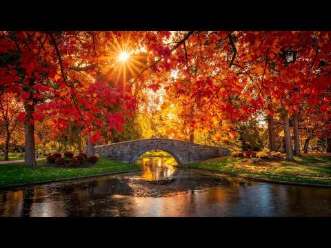 Beautiful Autumn Scenery 🍁 Relaxing Piano Music for Stress Relief, Deep Relaxation & Calm Nervous