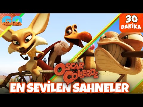 Oscar Çöllerde 🦎 | En Sevilen Sahneler 🤩| Minika