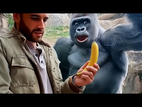 Animals Lose Their Minds Reacting to Magic for the First Time!