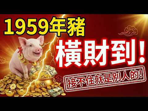 命裡有時終須有!1959年屬豬人,年底前有一筆「橫財」要進賬,接不住就是別人的了!速接!#1959年屬豬 #屬豬運勢 #生肖豬運勢 #橫財 #偏財運 #1959年生肖豬 #己亥豬 #屬豬 #生肖豬