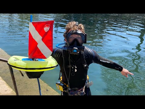 🌊Underwater LIVESTREAM 🔴