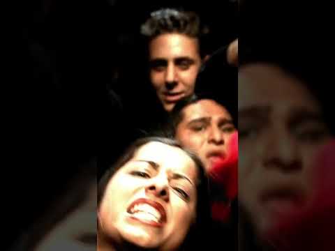 23 Years of Toxicity