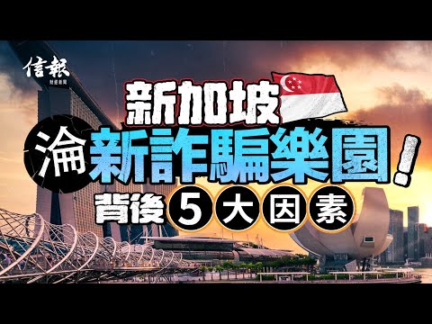 新加坡人最易呃？！成新詐騙樂園｜信報高天佑專欄｜新聞點評｜新加坡｜詐騙｜雞棚｜反詐騙聯盟｜連環騙案｜假冒中國官員｜雞棚樂園｜罪犯引渡條約｜反詐教育【論盡熱話系列】