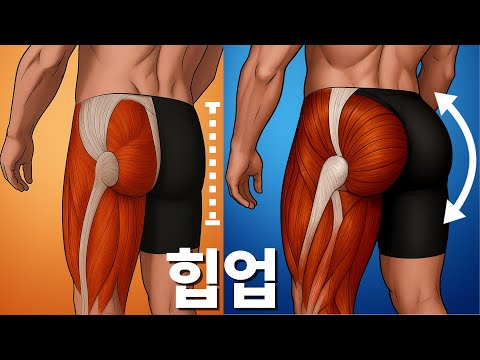 최고의 엉덩이 운동 3가지를 찾았습니다.