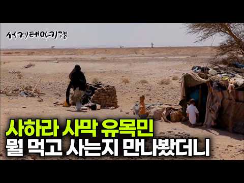 세계에서 가장 황량한 사하라 사막 유목민들은 뭘먹고 사는지 봤더니｜세계테마기행｜#세테깅