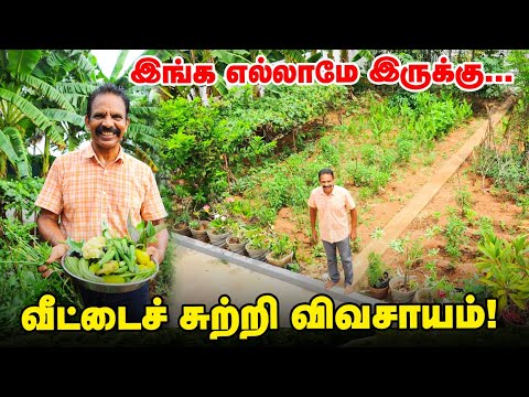திராட்சை முதல் மஞ்சள் வரை...  வீட்டுத் தோட்டத்தில் விதவிதமான பயிர்கள் ... அசத்தும் பேராசிரியர்!