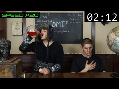 Testing DMT Live With Seth | Vital Educational Content (New Version)