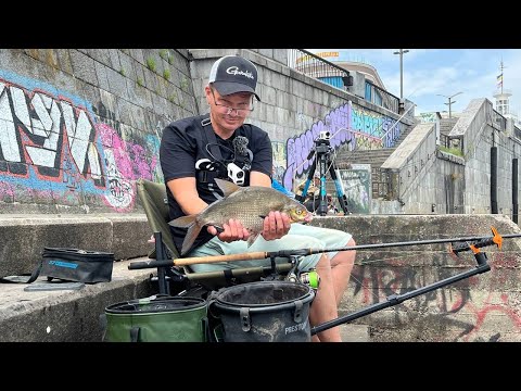 #рыбалка #фидер За Лящам🐟 Набережна Київ🇺🇦🐟🤘