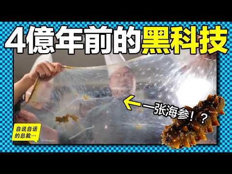 海參:4億年前的『生物科技』,它真的能美容養顏,再生造化嗎?為何昔日『八珍之首』如今卻只需100元3斤?也許,這背後有讓人驚歎的商業與生物故事……|自說自話的總裁