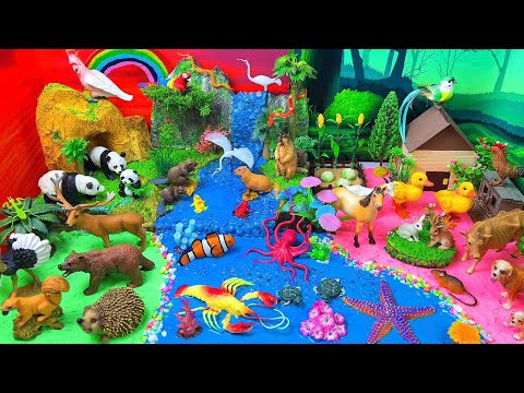 🐼🐙🐴 Let’s Learn Jungle, Ocean & Farm Animals Together – So Much Fun!