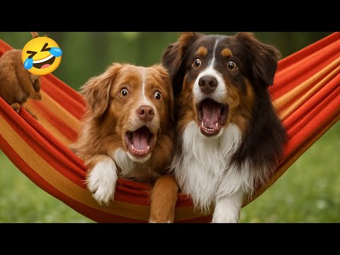 Funny videos of CATS🐱 and DOGS🐶 Best funny videos of ANIMALS 🤣2025