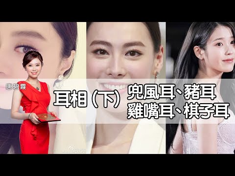 耳相（下）＃兜風耳 ﹑＃豬耳﹑＃雞嘴耳﹑＃棋子耳，邊種有創業家精神？