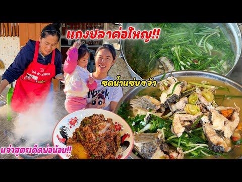 Big snakehead fish curry!! Fatty snakehead fish curry with lots of vegetables, served hot with a ...