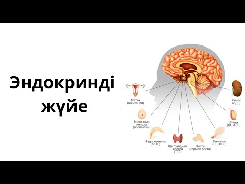 Эндокринді жүйе. Эндокринді жүйе физиологиясы.Ішкі секреция бездері.1-бөлім