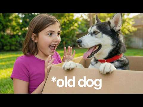 We Reunited with our Dog After Years!